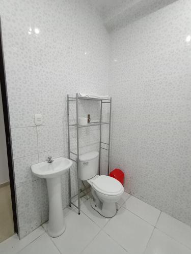 瓦努科O'CALA HOUSE的一间带卫生间和水槽的浴室