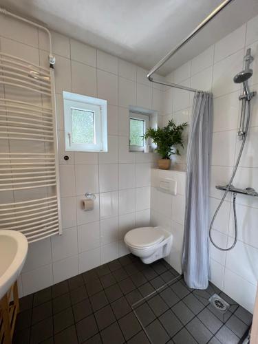 圣安德里斯伯格Platell Ferienhausverwaltung Sankt Andreasberg的浴室配有卫生间、淋浴和盥洗盆。