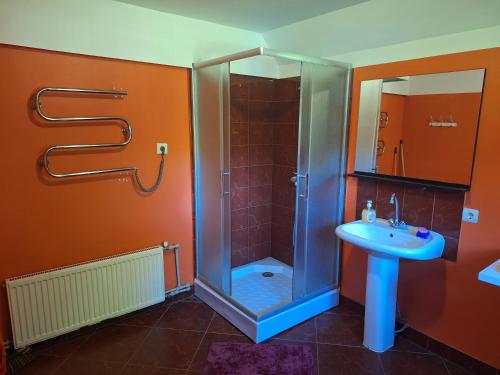 JaunjelgavaBrīviņi的带淋浴和盥洗盆的浴室