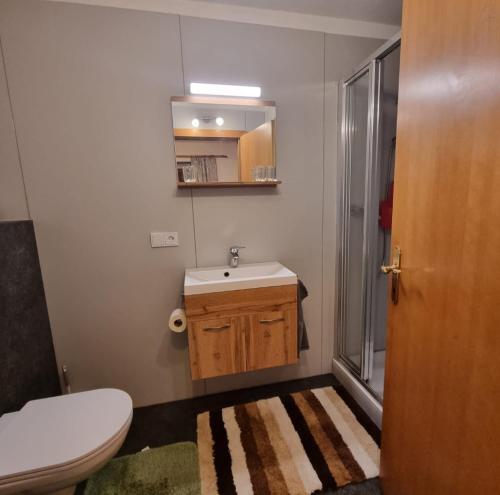 埃尔毛Haus Auebach的浴室配有卫生间、盥洗盆和淋浴。