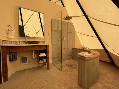 布拉夫Bluff Dwellings Resort的带淋浴、盥洗盆和镜子的浴室