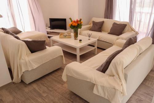 下布雷尼亚Maruca (D): En familia.的客厅设有两张沙发和一张鲜花桌