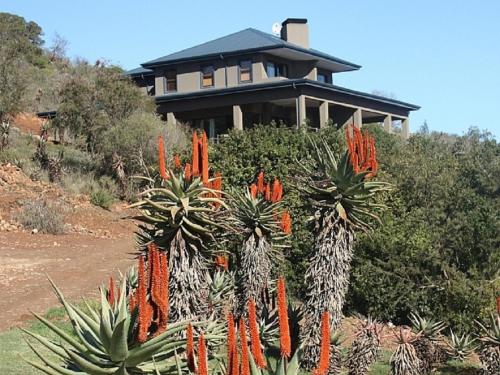 BuffeljagsrivierStonehill River Lodge by Dream Resorts的山丘上一所房子,有一堆胡萝卜