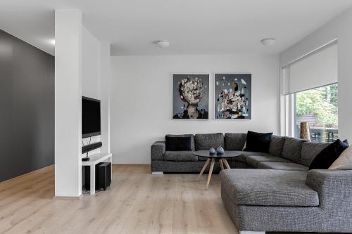 LaugarasVilla - South Iceland的带沙发和电视的客厅