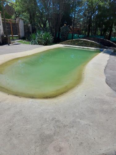 萨尔塔Cabaña la encantadora的车道上的一个大型绿色水池