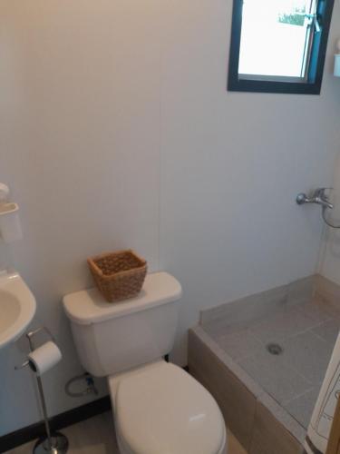 巴拉斯港Cabaña Familiar Puerto Varas的白色的浴室设有卫生间和水槽。