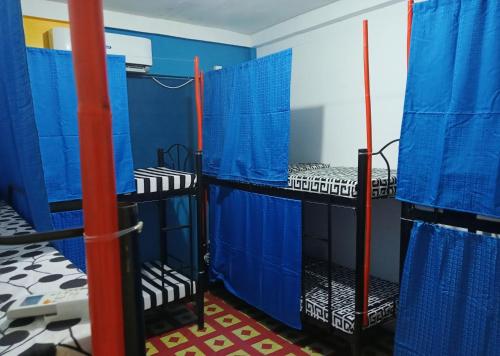 科隆Footprints Hostel的一间设有蓝色墙壁和黑色双层床的客房