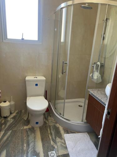 拉巴斯Elegante Departamento的一间带卫生间和玻璃淋浴间的浴室
