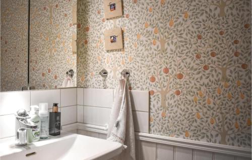 奇维克Amazing Home In Kivik With Wifi的一间带水槽和镜子的浴室