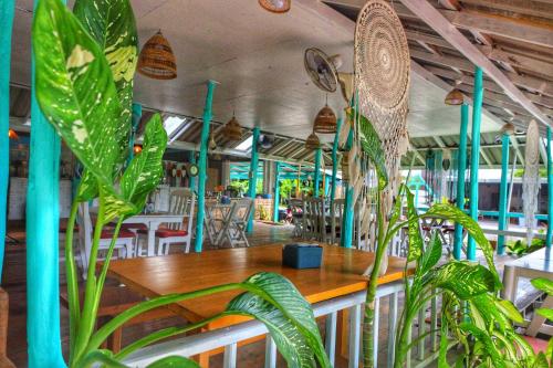 库德岛The Mermaid House的一间设有桌子和一些植物的餐厅