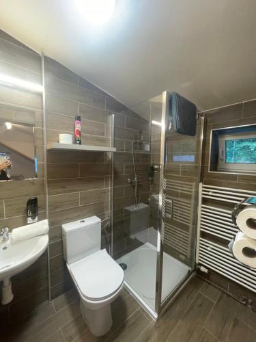 贝拉波德普拉德代姆Penzion U Rodinky的浴室配有卫生间、淋浴和盥洗盆。