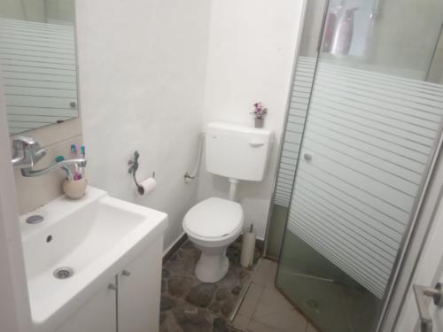 里雄莱锡安דירת שי的白色的浴室设有卫生间和水槽。