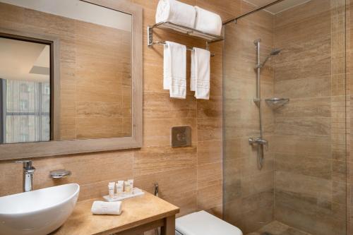 埃里温埃里温共和酒店的一间带水槽和淋浴的浴室