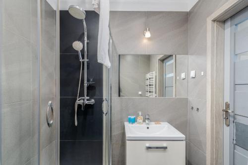 克拉科夫Borkowska Standard Apartment的带淋浴和盥洗盆的浴室