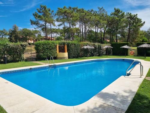 伊斯兰蒂拉Laguna Golf, Hoyo 17, Islantilla的院子里的大型蓝色游泳池