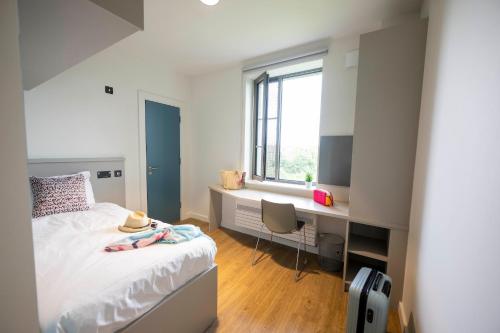 戈尔韦University of Galway Rooms的一间卧室配有一张床、一张书桌和一个窗户。