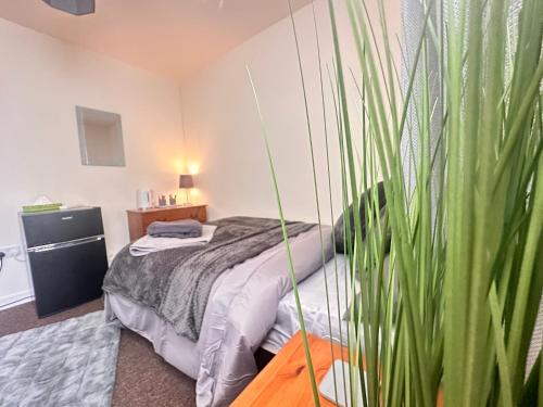 普雷斯顿Moor Park Apartments的一间卧室,配有床和绿色植物