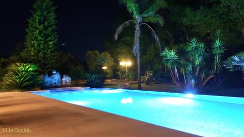 卡洛维诺Villa Gavida的棕榈树的夜间游泳池