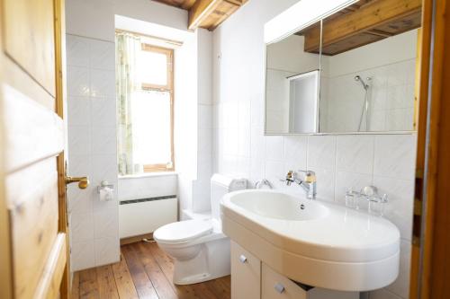阿尔代兹Chasa Broel Ferienhaus mitten in Ardez的白色的浴室设有水槽和卫生间。