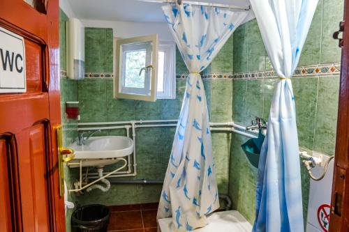 布加勒斯特HOSTEL SPORT BUCHAREST的一间带水槽和淋浴帘的浴室