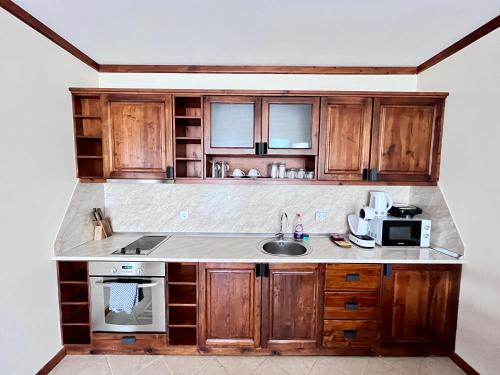 班斯科Private Spa Luxury apartments的厨房配有木制橱柜、水槽和微波炉