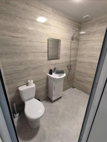 斯利文Студио Ава 2的浴室配有卫生间、盥洗盆和淋浴。