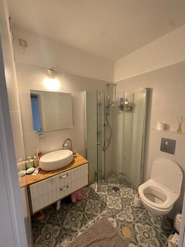 特拉维夫all you need and more的浴室配有卫生间、盥洗盆和淋浴。
