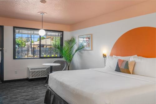 圣罗莎桑德曼汽车旅馆的一间设有大床和窗户的酒店客房