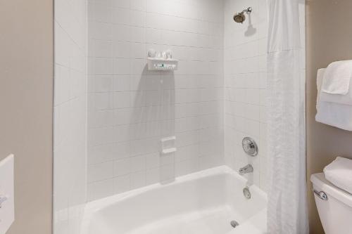 鸭礁岛Reef House的带淋浴和卫生间的白色浴室