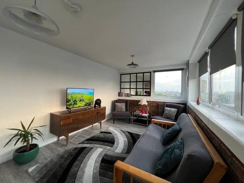 伦敦Amazing view 2 bedroom in Abbey Road的带沙发和电视的客厅