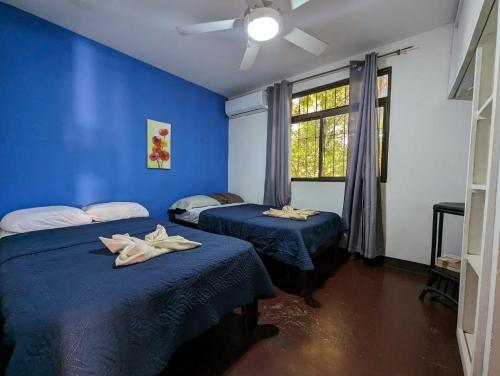 科克Iguana Street Houses的配有两张床铺的蓝色墙壁和窗户