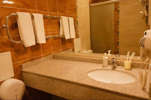 阿斯塔纳Inn OZZ Astana的一间带水槽、卫生间和镜子的浴室