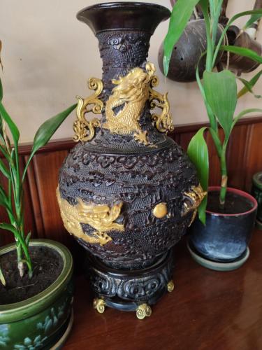 暹粒U Dara inn的黑色和金色花瓶,坐在桌子上,种着植物