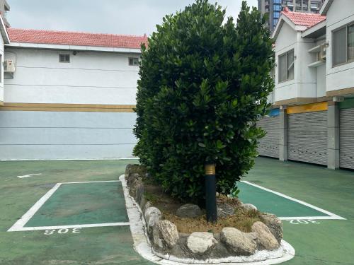 台中市缘桥商务汽车旅馆的车库旁停车场的小树