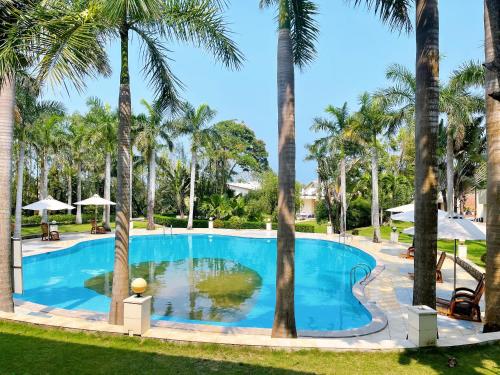 Bình SơnKhách Sạn Hoàng Mai Dung Quất的度假村内棕榈树游泳池