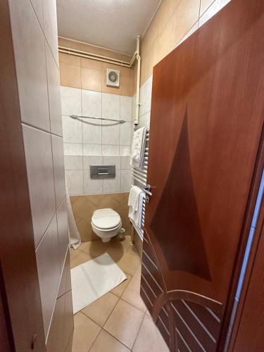 比哈奇Park Hotel的一间带卫生间的小浴室和木门