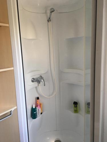 特罗格Mobile home climatisé en Touraine, calme et ombragé的玻璃门淋浴和淋浴