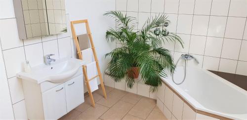 WittersheimFerienwohnungen "Zum Lochfeld"的一间带水槽和盆栽植物的浴室