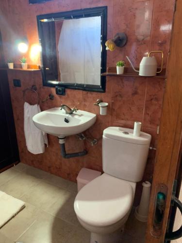 SabinosaCasita La Enramada的一间带卫生间、水槽和镜子的浴室