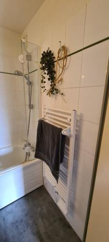 拉姆吉Appartements Bozeman的带浴缸和毛巾的浴室