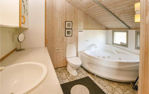 AsperupBeautiful Home In Asperup With 4 Bedrooms, Sauna And Wifi的带浴缸、卫生间和盥洗盆的浴室