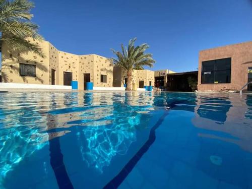 亚喀巴Bait Alaqaba dive center & resort的大楼前的蓝色海水游泳池