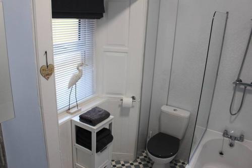 斯特灵Cameronian Apartment的白色的浴室,设有厕所,窗户上有鸟儿