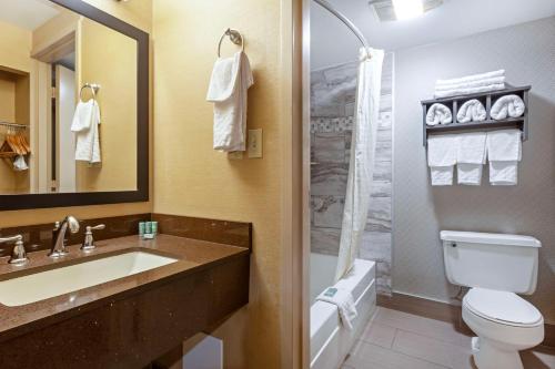 尼亚加拉瀑布峰会贝斯特韦斯特酒店的浴室配有卫生间、盥洗盆和淋浴。