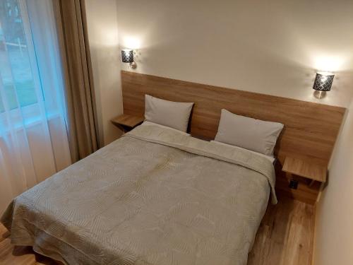 帕兰加Sweet villa Palanga的一间卧室配有带两个枕头的床和窗户