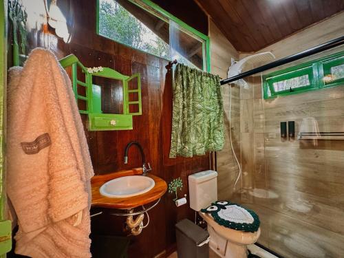 布埃诺布兰当Sequoia Casa na Árvore, Vila Mágica的一间带水槽和卫生间的小浴室