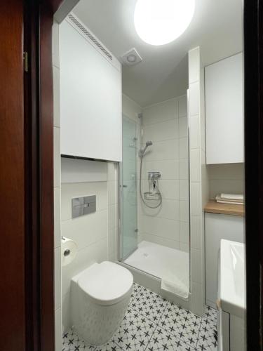卢布林Apartament Lubelski Zamkowy的浴室配有白色卫生间和淋浴。