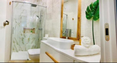 桑卢卡尔-德巴拉梅达Gosol Lemon的一间带水槽、淋浴和卫生间的浴室