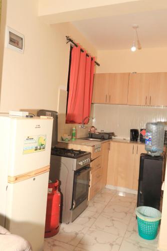 姆特瓦帕AMELIA BNBS的厨房配有白色冰箱和炉灶。