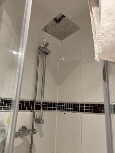 绍斯波特Southport Metro Hotel的浴室内配有淋浴和头顶淋浴